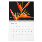 Saubere und einfache Einrichtung Kalender (Feb 2027)