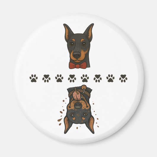 Sauberer Dobermann Dirty Dobermann Kein Text Gesch Magnet (Vorne)