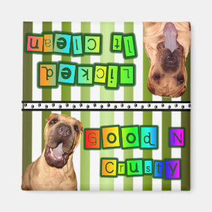 Sauberer oder schmutziger Geschirr-Magnet Magnet