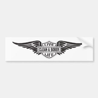 Sauberer und schlichter Autoaufkleber