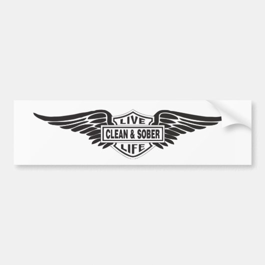 Sauberer und schlichter Autoaufkleber (Vorne)