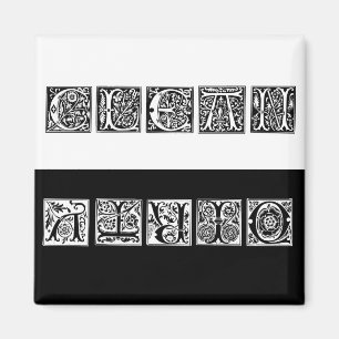 Sauberes und sauberes Renaissance Geschirrspüler M Magnet