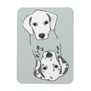 Säubern Sie,/schmutziger Spülmaschinen-Magnet Magnet