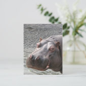 Saucy Hippo! Postkarte (Stehend Vorderseite)