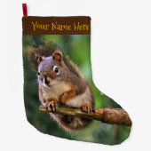 Saucy Red Eichhörnchen in der Tanne Großer Weihnachtsstrumpf (Vorderseite)