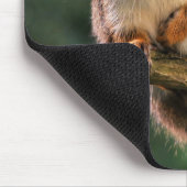 Saucy Rotes Eichhörnchen im Tannenbaum Mousepad (Ecke)