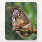 Saucy Rotes Eichhörnchen im Tannenbaum Mousepad (Vorne)