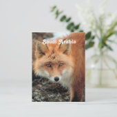 Saudi Arabian Fox Postkarte (Stehend Vorderseite)