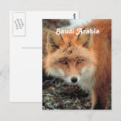 Saudi Arabian Fox Postkarte (Vorne/Hinten)