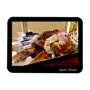 Saudi-Arabien Magnet