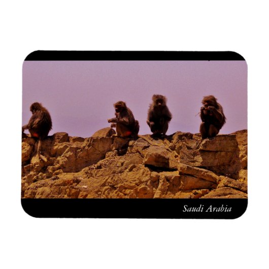 Saudi-Arabien Magnet (Horizontal)