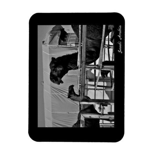 Saudi-Arabien Magnet (Vertikal)