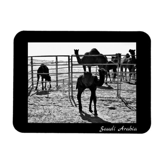 Saudi-Arabien Magnet (Horizontal)