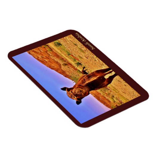 Saudi-Arabien Magnet (Rechte Seite)