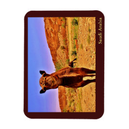 Saudi-Arabien Magnet