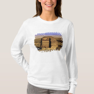 Saudi-Arabien, Standort von Madain Saleh, antik T-Shirt