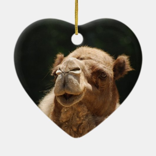 Saudi-arabisches Kamel Keramikornament (Hinten)