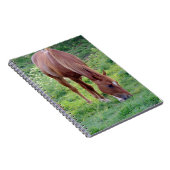 Sauerampfer Gelding Notizblock (Rechte Seite)