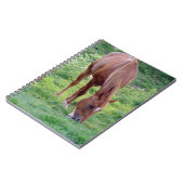 Sauerampfer Gelding Notizblock (Linke Seite)