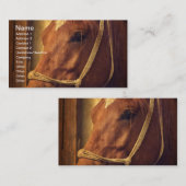 Sauerampfer in SeilHalter Visitenkarte (Vorne/Hinten)