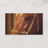 Sauerampfer in SeilHalter Visitenkarte (Rückseite)