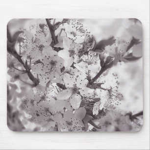 Sauerkirschbaum Schwarz und Weiß Mousepad