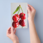 Sauerkirsche Flyer (Handgriff)