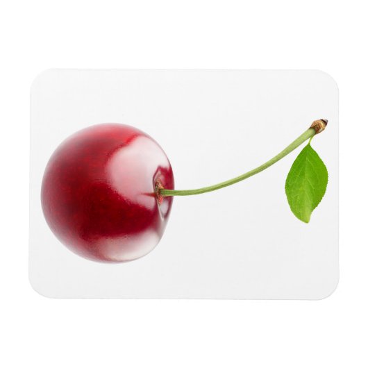 Sauerkirsche Magnet (Horizontal)