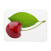 Sauerkirsche Magnet (Horizontal)