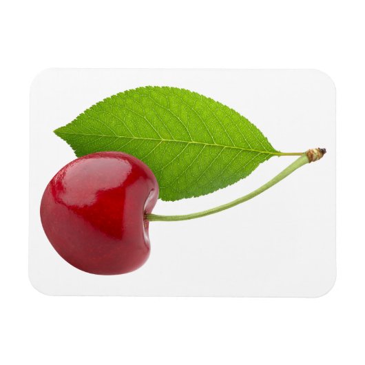 Sauerkirsche Magnet (Horizontal)