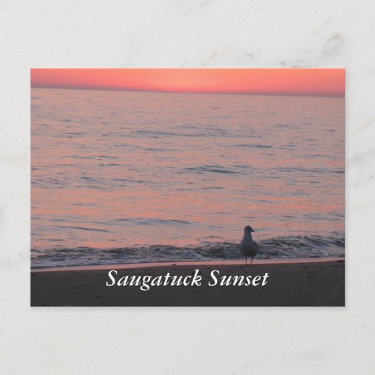 Saugatuck Sunset Postkarte (Vorderseite)