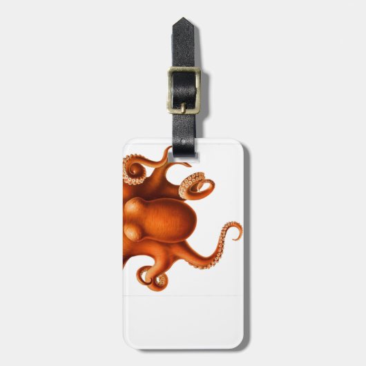 Sauger und sehen gepäckanhänger (Vorderseite vertikal)