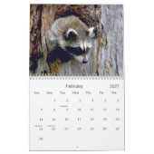 Säugetiere 2 Wildlife 2021 - Kalender (Feb 2027)