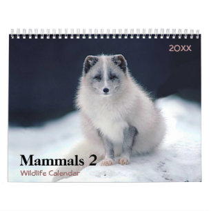Säugetiere 2 Wildlife 2021 - Kalender