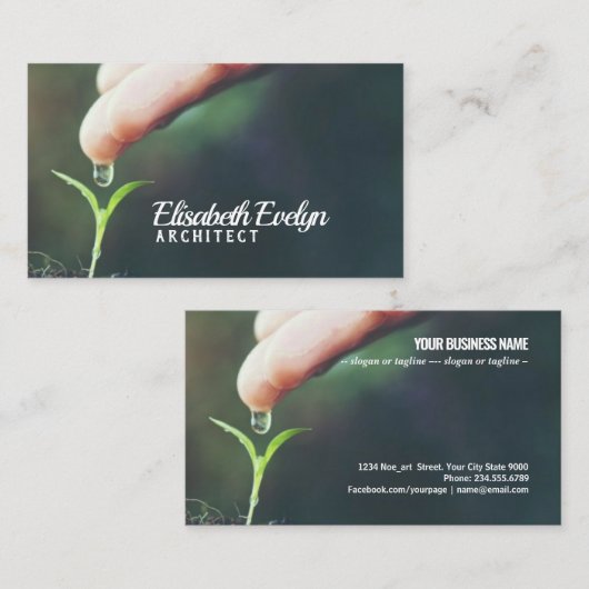 Säugling-Frühjahr Visitenkarte (Vorne/Hinten)