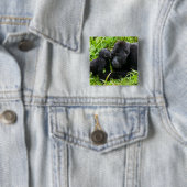 Säugling Gorilla Kisses Silverback Gorilla Button (Beispiel)