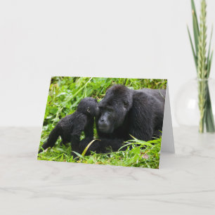 Säugling Gorilla Kisses Silverback Gorilla Karte