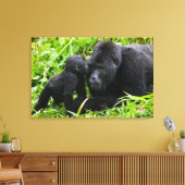 Säugling Gorilla Kisses Silverback Gorilla Leinwanddruck (Insitu (Wohnzimmer))