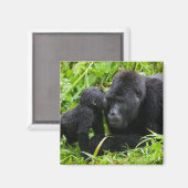 Säugling Gorilla Kisses Silverback Gorilla Magnet (Vorderseite/Rückseite)