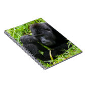 Säugling Gorilla Kisses Silverback Gorilla Notizblock (Rechte Seite)