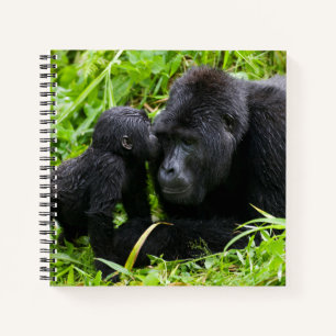 Säugling Gorilla Kisses Silverback Gorilla Notizblock
