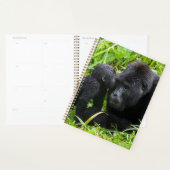 Säugling Gorilla Kisses Silverback Gorilla Planer (Anzeige)