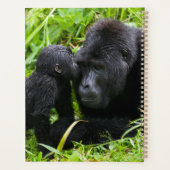 Säugling Gorilla Kisses Silverback Gorilla Planer (Rückseite)