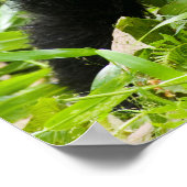 Säugling Gorilla Kisses Silverback Gorilla Poster (Ecke)