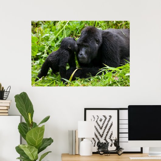 Säugling Gorilla Kisses Silverback Gorilla Poster (Heimbüro)