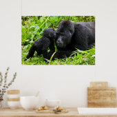 Säugling Gorilla Kisses Silverback Gorilla Poster (Küche)