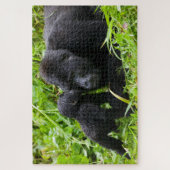 Säugling Gorilla Kisses Silverback Gorilla Puzzle (Vertikal)