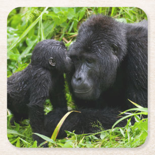 Säugling Gorilla Kisses Silverback Gorilla Rechteckiger Pappuntersetzer