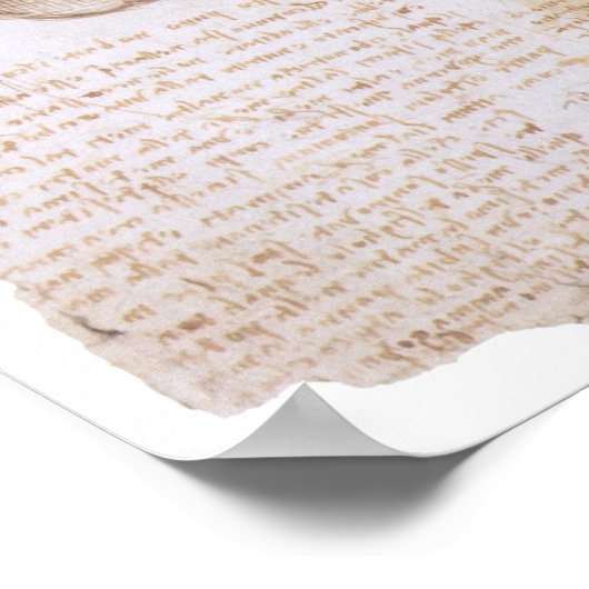 Säugling in der Frau, Leonardo da Vinci Poster (Ecke)