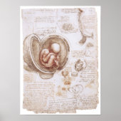 Säugling in der Frau, Leonardo da Vinci Poster (Vorne)